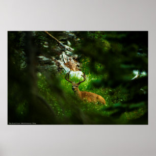 Poster Le Prince Forêt