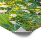 Poster Le printemps dans le jardin de Claude Monet (Coin)