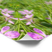 Poster Le printemps est de retour ! (Coin)