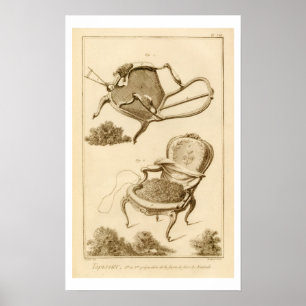 Poster Le processus d'appui d'une chaise, de l'Enc