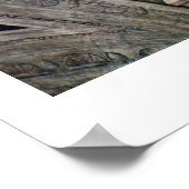 Poster Le Prophète Daniel Par Michel-Ange Buonarroti (Coin)