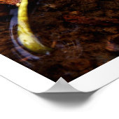 Poster le prospecteur (Coin)