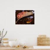 Poster le prospecteur (Cuisine)