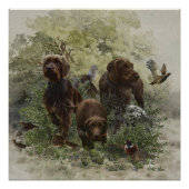 Poster Le Pudelpointer (Devant)