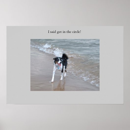 Poster Le puissant Collie (Devant)