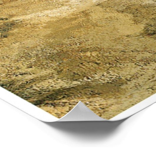 Poster Le Questioner du Sphinx, 1863 (Coin)