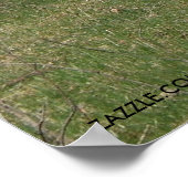 POSTER LE QUOTIDIEN LAMA (Coin)