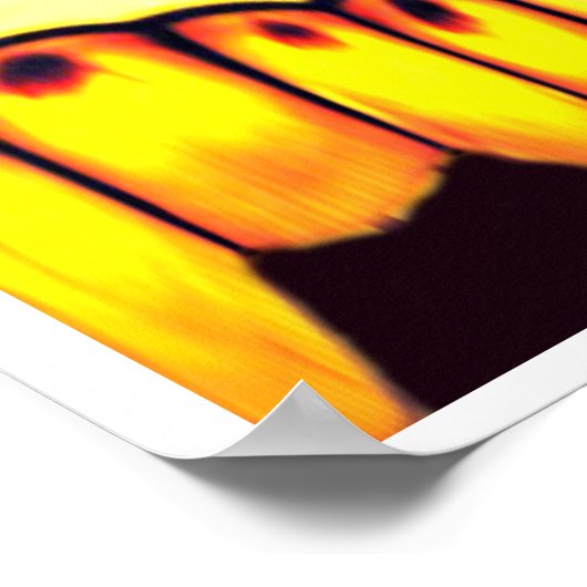 Poster le rassemblement (Coin)