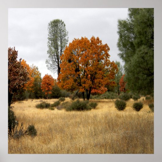 Poster Le rassemblement... (Devant)
