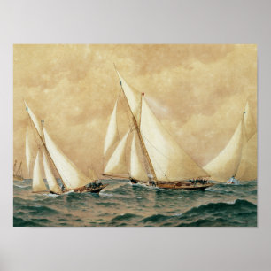 Poster Le récif de Brenton