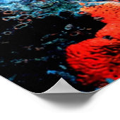 Poster Le récif de Floride (Coin)