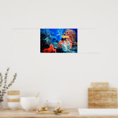 Poster Le récif de Floride (Cuisine)