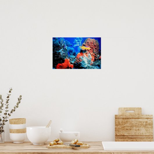 Poster Le récif de Floride (Cuisine)