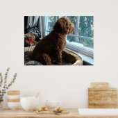 Poster Le recteur attend par la fenêtre (Cuisine)