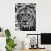 Poster Le regard du lion (Bureau à domicile)