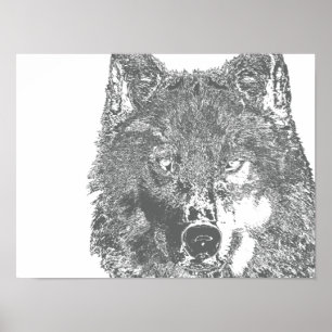 Poster Le regard du loup