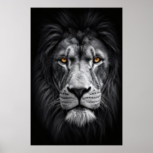 Poster Le Regard du Roi (Devant)