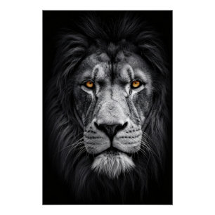 Poster Le regard du roi