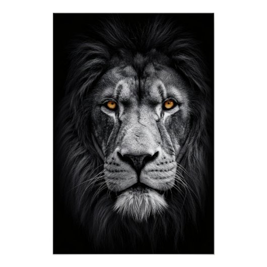 Poster Le regard du roi (Devant)