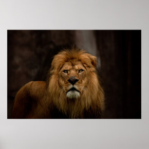 Poster Le regard fixe