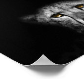 Poster Le regard, Leopard, photo noir et blanc (Coin)
