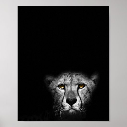 Poster Le regard, Leopard, photo noir et blanc (Devant)