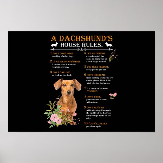 Poster Le règlement de la maison d'un Dachshund (Devant)