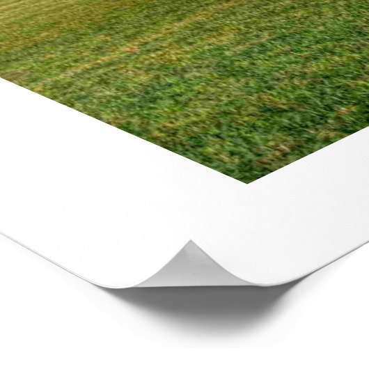 Poster Le Reichstag (Coin)