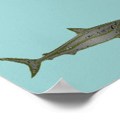 Poster le requin (Coin)