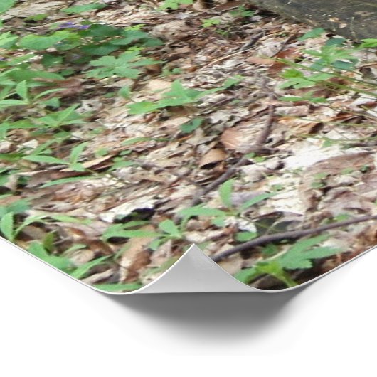 Poster Le reste 1 (Coin)