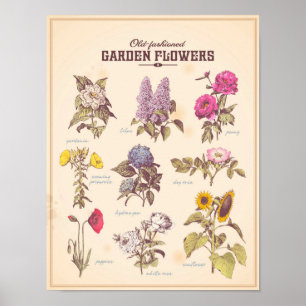 Poster Le rétro jardin fleurit l'affiche