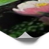 Poster Le rêve de la sirène (Coin)