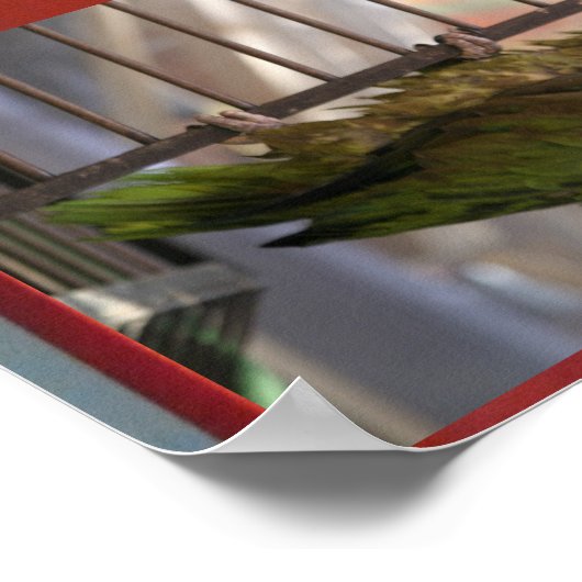 Poster Le rêve d'Euclid (Coin)