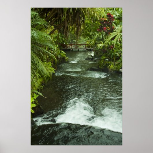 Poster Le rêve du Costa Rica (Devant)