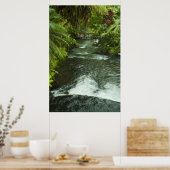 Poster Le rêve du Costa Rica (Cuisine)