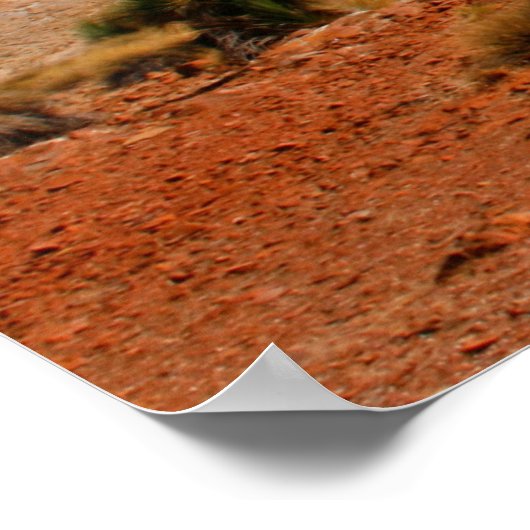 Poster Le revers australien (Coin)