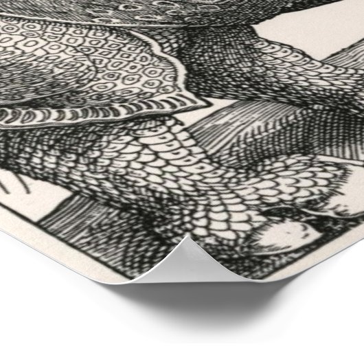 Poster Le Rhino (Coin)