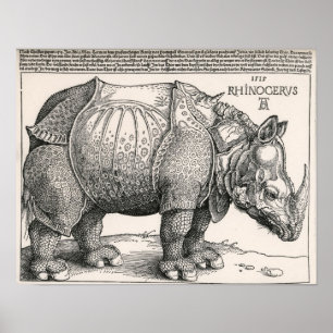 Poster Le rhinocéros