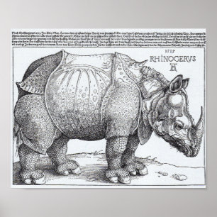 Poster Le rhinocéros de Dürer