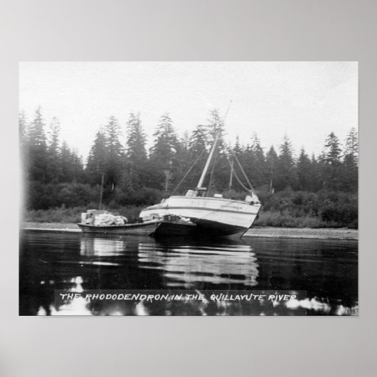 Poster Le Rhododendron sur la rivière Quillayute (Devant)
