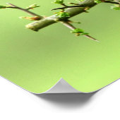 Poster Le Robin (Coin)