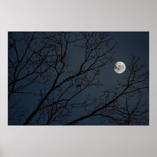 Poster Le Robin et la Lune (Devant)
