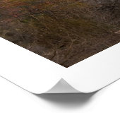 Poster Le Rocher de la Cathédrale (Coin)