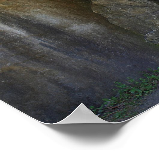 Poster Le Rocher De Marbre À Natural Bridge Nature (Coin)