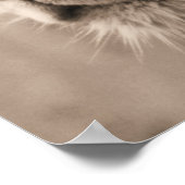 Poster Le roi (Coin)