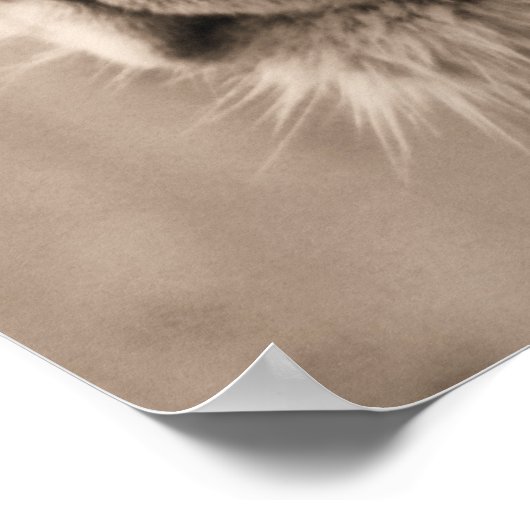 Poster Le roi (Coin)