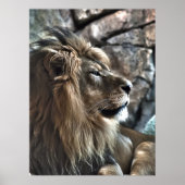 Poster Le roi (Devant)