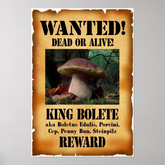 Poster Le roi Bolete - Recherché mort ou vivant (Devant)