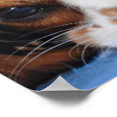 Poster Le roi Charles Cavalier (Coin)