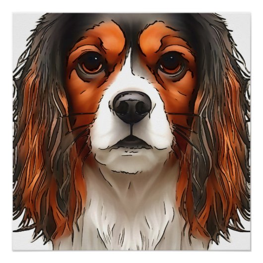 Poster Le roi Charles Cavalier Spaniel Portrait pour anim (Devant)